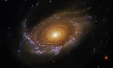 Hubble, denizanası galaksisinin 