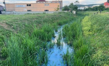 Arnavutköy'de derenin rengi maviye döndü: İSKİ açıklama yaptı