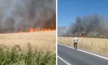 Diyarbakır'da ekili arazide yangın: 6 saatte söndürüldü, 150 dönüm buğday kül oldu