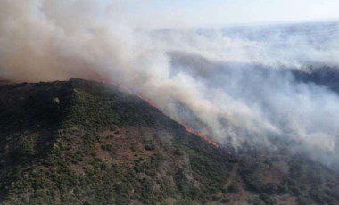 İzmir Menemen'de çıkan orman yangını kontrol altına alındı