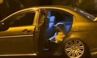 İstanbul'da köpek otomobile girdi, saatlerce çıkarılamadı