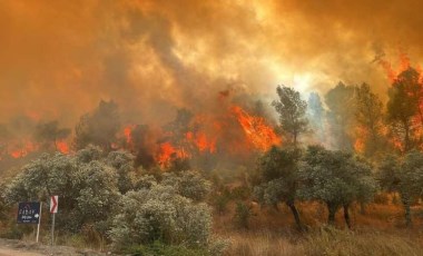 Muğla'da otluk alanda korkutan yangın: Havadan ve karadan 4 saat süren müdahaleyle kontrol altına alındı