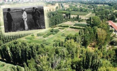 Yargı Atatürk Orman Çiftliği'ndeki talana 'dur' dedi