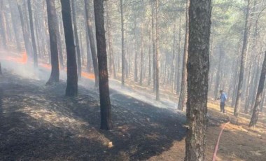 Kahramanmaraş'ta orman yangını! (14 Temmuz 2023)