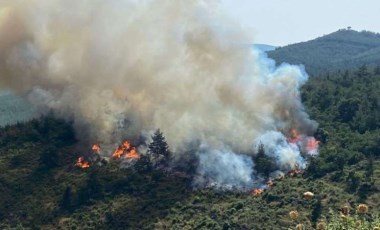 Balıkesir’de orman yangını! Ekipler müdahale ediyor