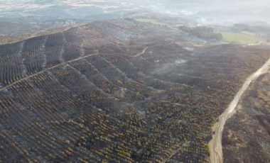 Çanakkale'deki yangının hasarı havadan görüntülendi: 'Yeşillik alan kalmadı'