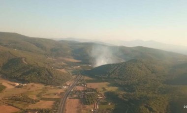 İzmir Selçuk'ta orman yangını