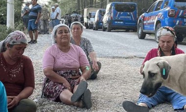 Akbelen Ormanı'na sabaha karşı baskın: Yurttaşlar direniyor!