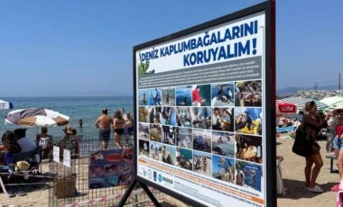 Kuşadası’nda caretta carettalar için özel önlem