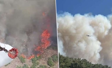 Manisa ve Kahramanmaraş'ta orman yangını: Alevler yerleşim yerlerine ulaştı, bazı evler yandı