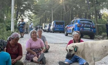 Jandarma şafak baskını düzenledi: Akbelen’e dokunma!