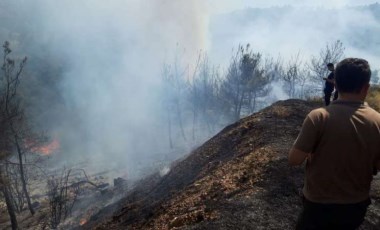 İzmir'de iki orman yangını birden (25 Temmuz 2023)