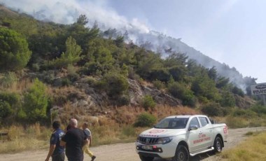 Söke’de çıkan orman yangını büyümeden söndürüldü