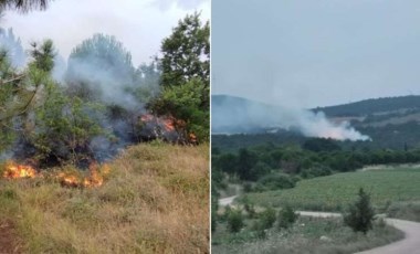 Bandırma'da orman yangını!