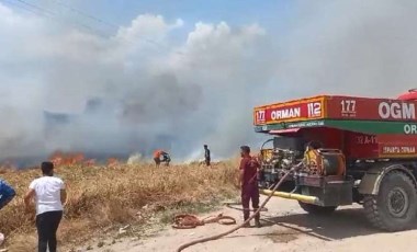 Isparta'da tarlada çıkan yangın ormana sıçradı!