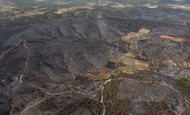 Tarım Orman-İş Başkanı Şükrü Durmuş: Dertleri yangın söndürmek değil