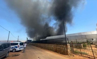 Antalya'da çiçek üretimi yapan firmada yangın çıktı!