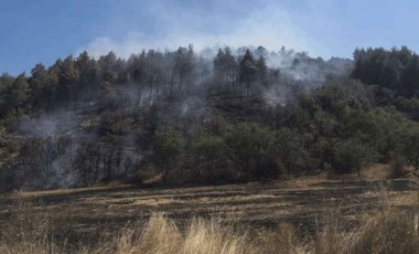 Son Dakika: Burdur'da orman yangını