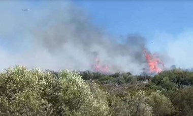 İzmir'de orman yangını... Karadan ve havadan müdahale ediliyor!