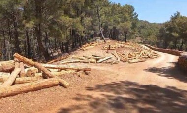 Türkiye Akbelen'i konuşurken... Kaz Dağları 'yangınla mücadele' adı altında katlediliyor