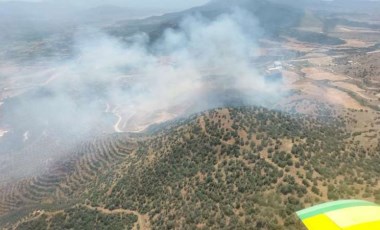 İzmir'de tarlada başlayan yangın ormana sıçradı