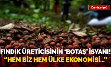 Fındık üreticilerinin BOTAŞ isyanı! 