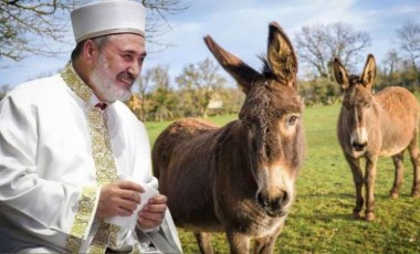 Ankara Müftüsü Çınar’dan yeni fetva: Yabani eşeğin eti de sütü de helal!