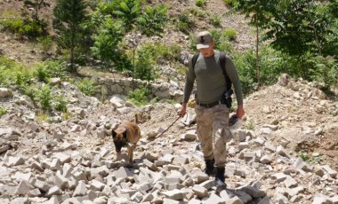 Doğa yürüyüşünde kayboldu, 2 gündür aranıyor