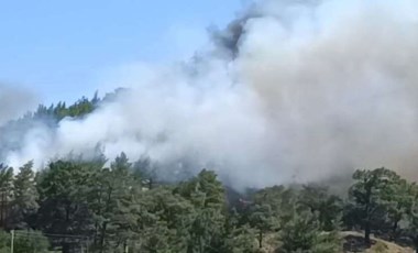 Son dakika... Marmaris'te iki ayrı alanda orman yangını çıktı