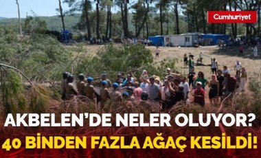 Akbelen’de neler oluyor? 40 binden fazla ağaç kesildi!