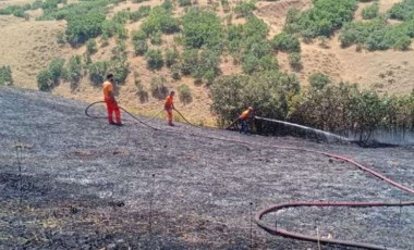 Bingöl'de orman yangını