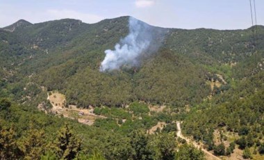 Hatay İskenderun'da çıkan orman yangını kontrol altına alındı