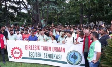 İBB'ye bağlı Ağaç A.Ş. çalışanlarından Saraçhane'de eylem