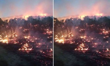 Siirt’te orman yangını: Birçok ilden destek istendi