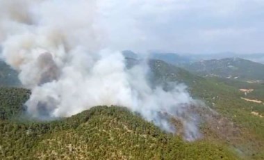 Son Dakika: Antalya’da orman yangını