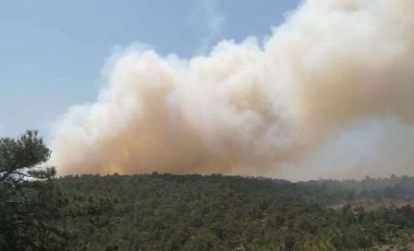 Denizli'de orman yangını!