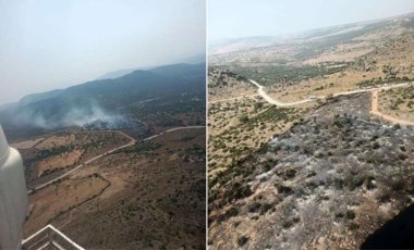 İzmir Aliağa'da orman yangını