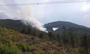 Bolu'da bir orman yangını daha çıktı!