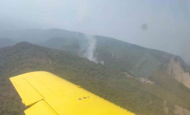 İzmir'de çıkan orman yangını kontrol altına alındı