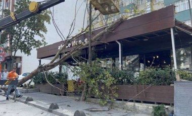 Arnavutköy'de çınar ağacı kafenin üzerine devrildi!