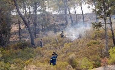 Yunanistan'ın Dedeağaç ilindeki yangın nedeniyle bölgede acil durum ilan edildi