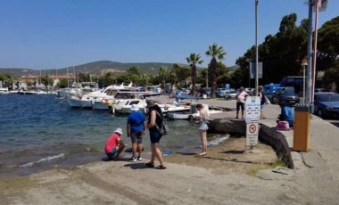 Foça’da turizmi denizanası vurdu, plajlar boş kaldı