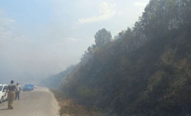 İzmir'de orman yangını!