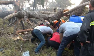 Çanakkale'deki orman yangınına müdahale eden görevlinin üzerine ağaç devrildi!