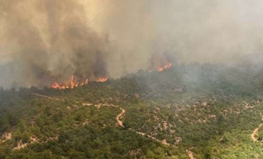 Çanakkale'de yangını söndürüldü mü?  Çanakkale'de hangi köyler yangından etkilendi? Çanakkale'de kaç hektar yandı?