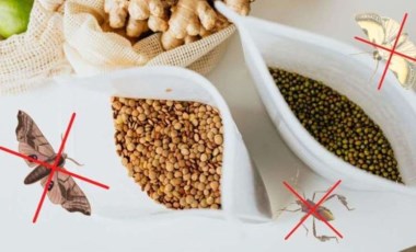 Bulgur, Prinç, fasulye gibi bakliyatlarınızı böceklerden korumanın yolu! İşte denemeniz gereken 7 sıradışı ipuçları!