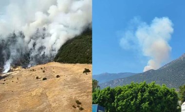 Antalya'daki Asas Dağı'nda orman yangını!