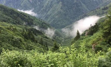 Artvin vadileri HES’e boğuldu