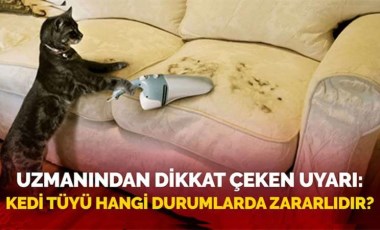 Uzmanından dikkat çeken uyarı! Kedi tüyü hangi durumlarda zararlıdır?