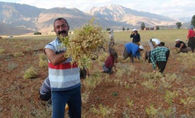 Tunceli Belediye Başkanı Fatih Mehmet Maçoğlu Cumhuriyet TV yayınına katıldı: 'Neden kâr edelim, belediye tüccar mı?'